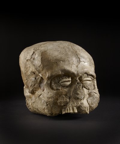 Portrait Skull with Cowrie Shell Eyes, Jericho, c.7th Millennium BC by Prehistoric